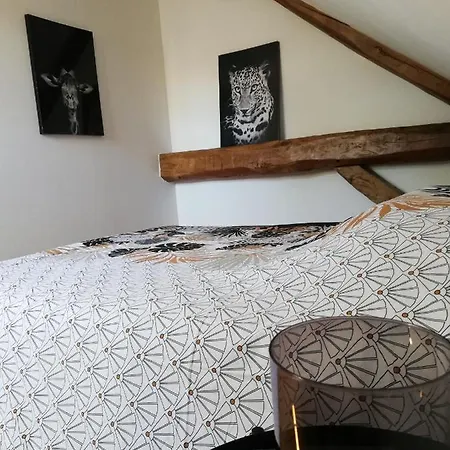 * Maison Aux Portes De Troyes En Champagne * *